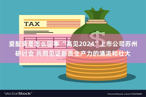 爱配资是怎么回事 “高见2024”上市公司苏州研讨会 共同见证新质生产力的涌流和壮大