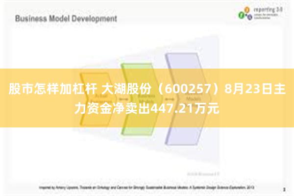 股市怎样加杠杆 大湖股份（600257）8月23日主力资金净卖出447.21万元