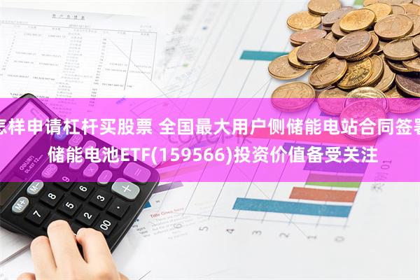 怎样申请杠杆买股票 全国最大用户侧储能电站合同签署 储能电池ETF(159566)投资价值备受关注