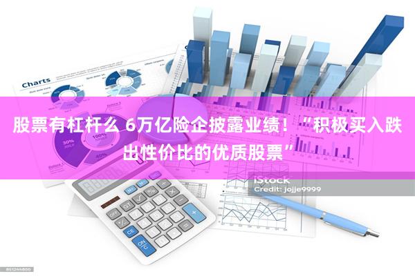 股票有杠杆么 6万亿险企披露业绩！“积极买入跌出性价比的优质股票”