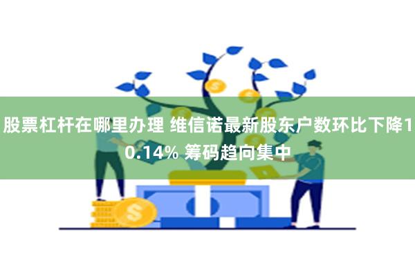 股票杠杆在哪里办理 维信诺最新股东户数环比下降10.14% 筹码趋向集中