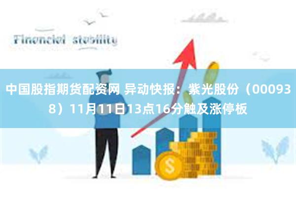 中国股指期货配资网 异动快报：紫光股份（000938）11月11日13点16分触及涨停板