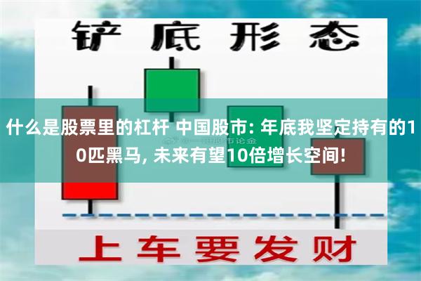 什么是股票里的杠杆 中国股市: 年底我坚定持有的10匹黑马, 未来有望10倍增长空间!