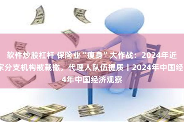 软件炒股杠杆 保险业“瘦身”大作战：2024年近2000家分支机构被裁撤，代理人队伍提质丨2024年中国经济观察