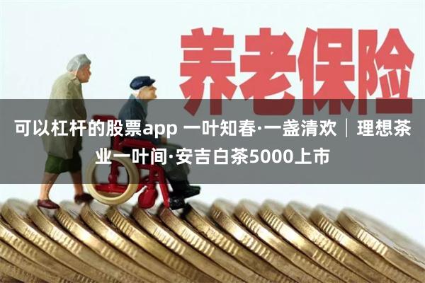 可以杠杆的股票app 一叶知春·一盏清欢│理想茶业一叶间·安吉白茶5000上市